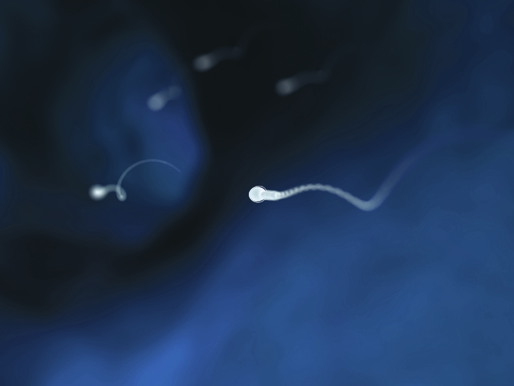 Gezocht: sperma- en eiceldonoren