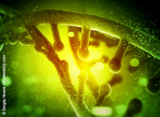 Cardiogenetica: zoeken naar het foute gen